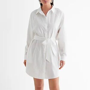 BNWT Express Boyfriend Poplin Portofino Shirt Dress